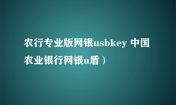 农行专业版网银usbkey 中国农业银行网银u盾）