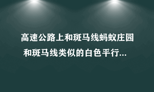 高速公路上和斑马线蚂蚁庄园 和斑马线类似的白色平行线是什么