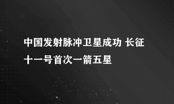 中国发射脉冲卫星成功 长征十一号首次一箭五星