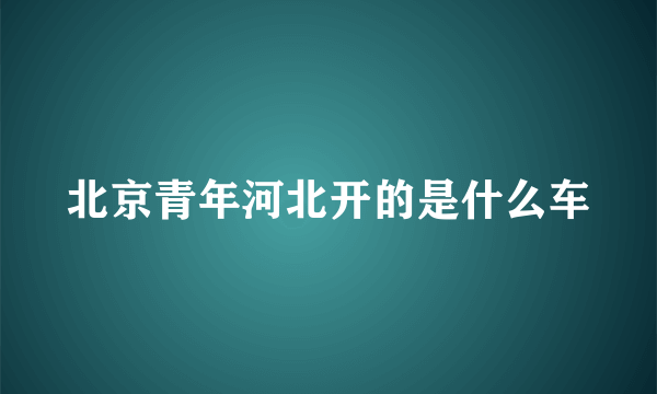 北京青年河北开的是什么车