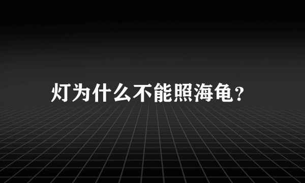 灯为什么不能照海龟？