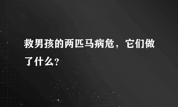 救男孩的两匹马病危，它们做了什么？