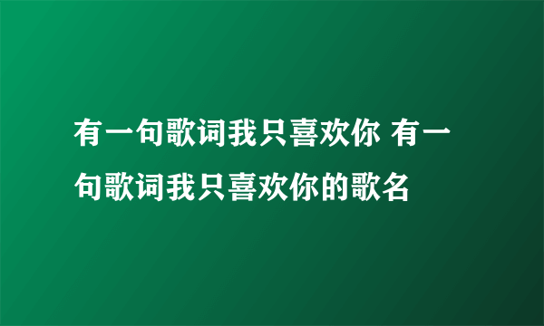 有一句歌词我只喜欢你 有一句歌词我只喜欢你的歌名