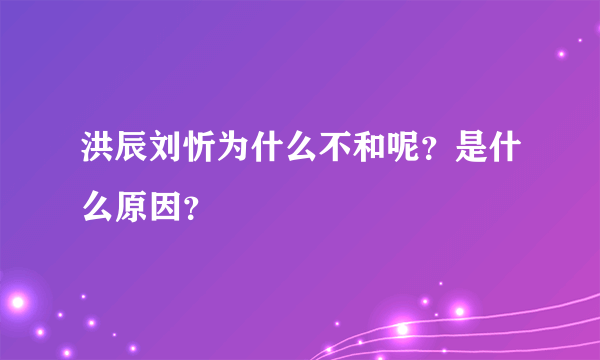 洪辰刘忻为什么不和呢？是什么原因？