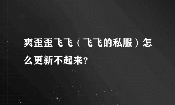 爽歪歪飞飞（飞飞的私服）怎么更新不起来？