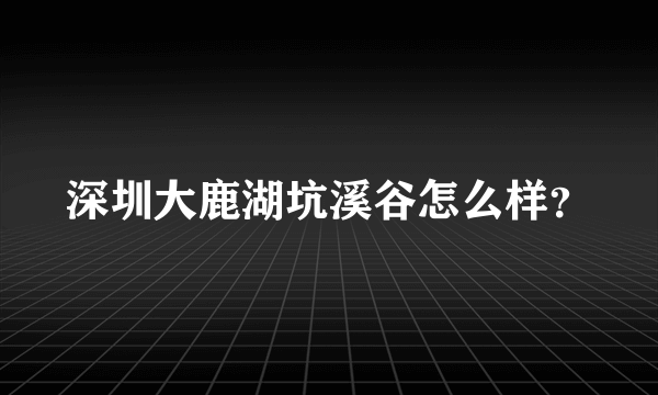 深圳大鹿湖坑溪谷怎么样？