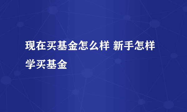 现在买基金怎么样 新手怎样学买基金