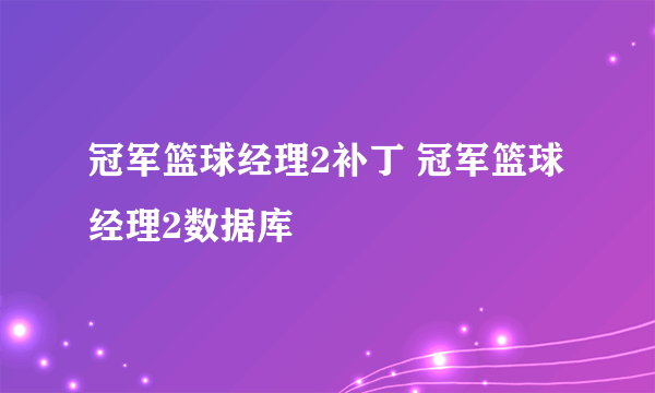 冠军篮球经理2补丁 冠军篮球经理2数据库