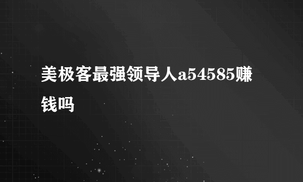 美极客最强领导人a54585赚钱吗