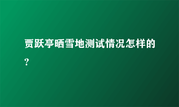 贾跃亭晒雪地测试情况怎样的？