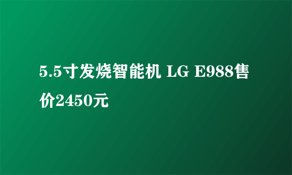 5.5寸发烧智能机 LG E988售价2450元