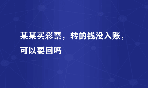 某某买彩票，转的钱没入账，可以要回吗