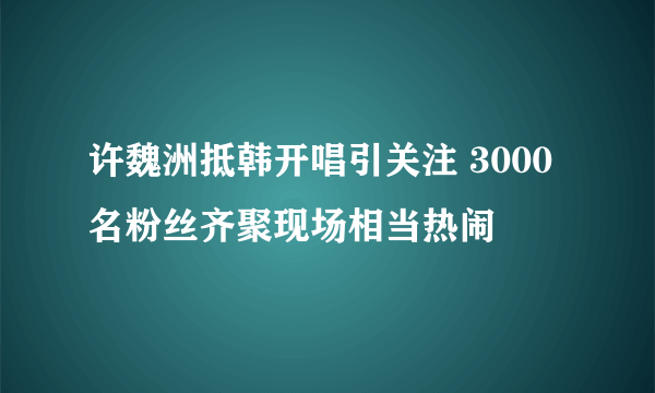 许魏洲抵韩开唱引关注 3000名粉丝齐聚现场相当热闹