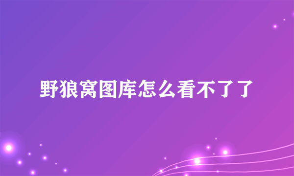 野狼窝图库怎么看不了了