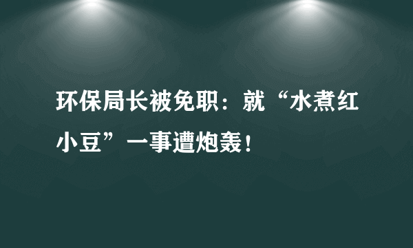 环保局长被免职：就“水煮红小豆”一事遭炮轰！