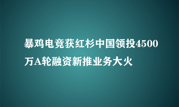 暴鸡电竞获红杉中国领投4500万A轮融资新推业务大火