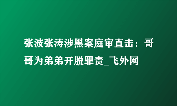 张波张涛涉黑案庭审直击：哥哥为弟弟开脱罪责_飞外网