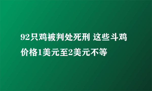 92只鸡被判处死刑 这些斗鸡价格1美元至2美元不等