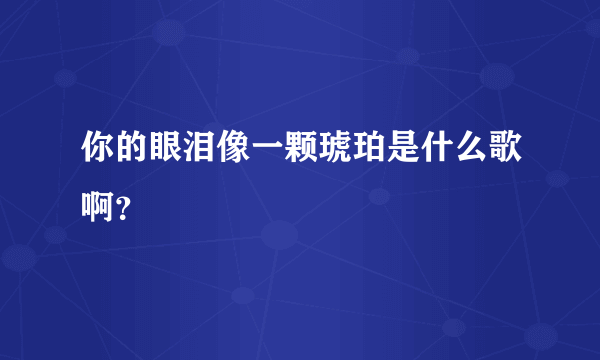 你的眼泪像一颗琥珀是什么歌啊？