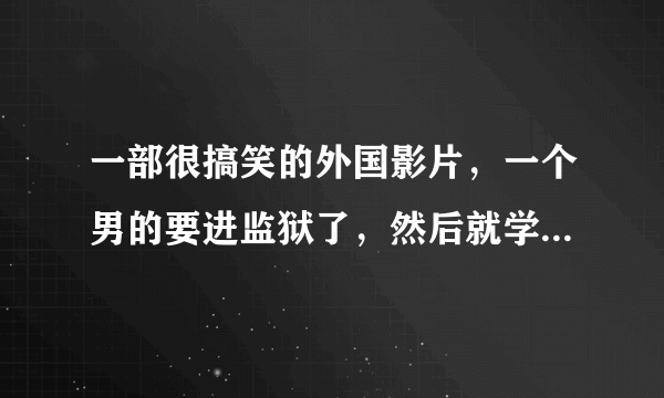 一部很搞笑的外国影片，一个男的要进监狱了，然后就学武艺，想保护自己？