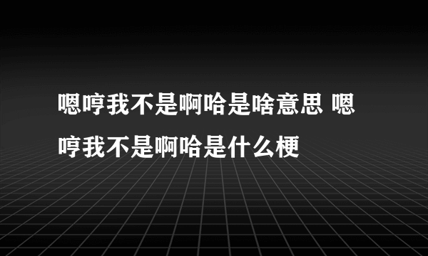 嗯哼我不是啊哈是啥意思 嗯哼我不是啊哈是什么梗