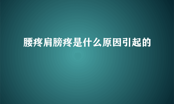 腰疼肩膀疼是什么原因引起的