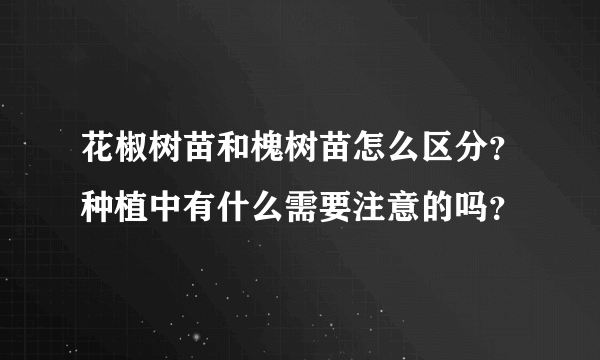 花椒树苗和槐树苗怎么区分？种植中有什么需要注意的吗？