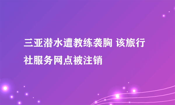 三亚潜水遭教练袭胸 该旅行社服务网点被注销