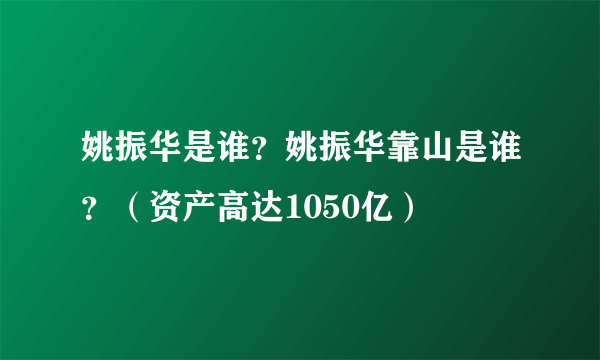 姚振华是谁？姚振华靠山是谁？（资产高达1050亿）