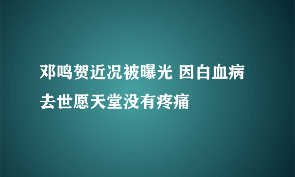 邓鸣贺近况被曝光 因白血病去世愿天堂没有疼痛