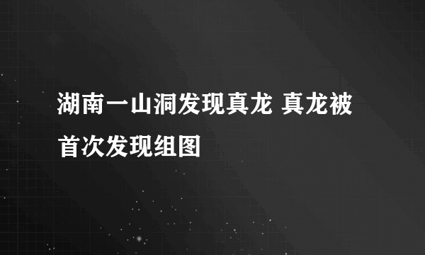 湖南一山洞发现真龙 真龙被首次发现组图