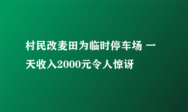 村民改麦田为临时停车场 一天收入2000元令人惊讶