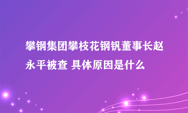 攀钢集团攀枝花钢钒董事长赵永平被查 具体原因是什么