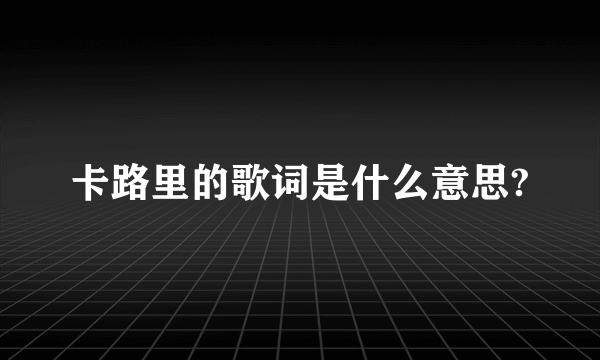 卡路里的歌词是什么意思?