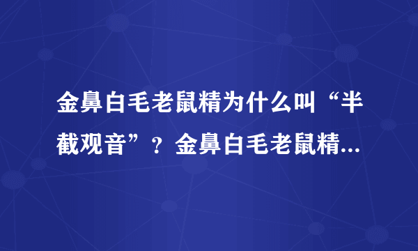 金鼻白毛老鼠精为什么叫“半截观音”？金鼻白毛老鼠精是什么来历？