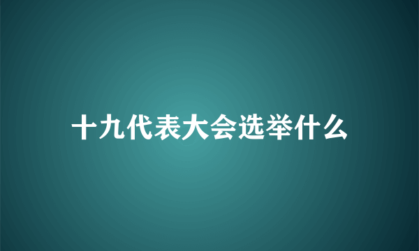 十九代表大会选举什么