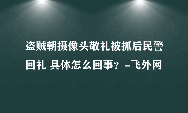 盗贼朝摄像头敬礼被抓后民警回礼 具体怎么回事？-飞外网