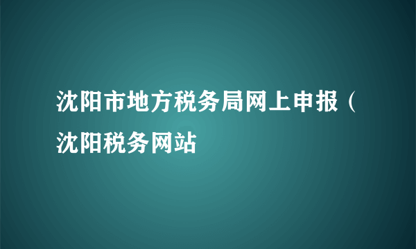 沈阳市地方税务局网上申报（沈阳税务网站