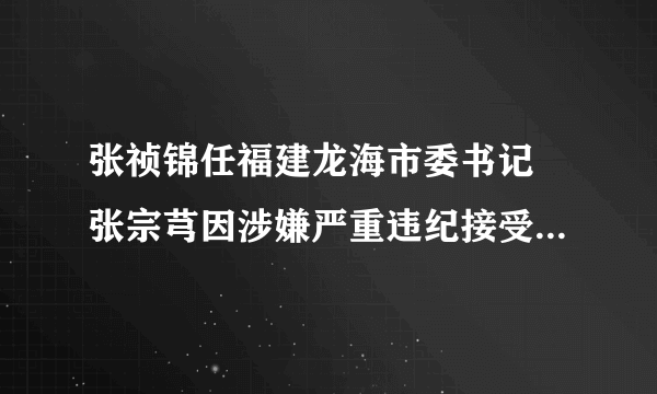 张祯锦任福建龙海市委书记 张宗芎因涉嫌严重违纪接受调查--组织人事-飞外