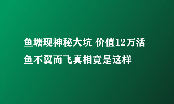 鱼塘现神秘大坑 价值12万活鱼不翼而飞真相竟是这样