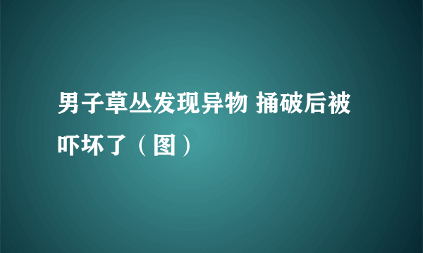 男子草丛发现异物 捅破后被吓坏了（图）