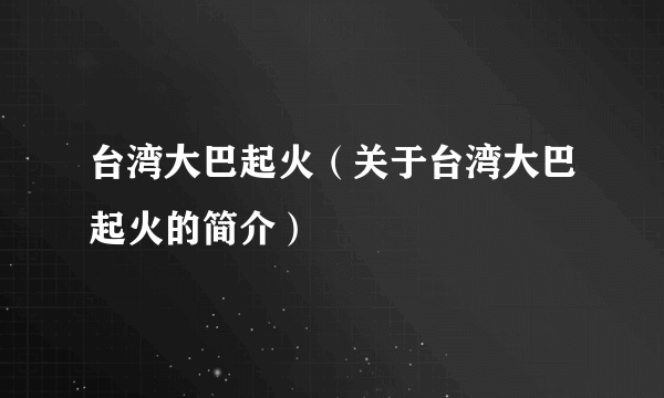 台湾大巴起火（关于台湾大巴起火的简介）