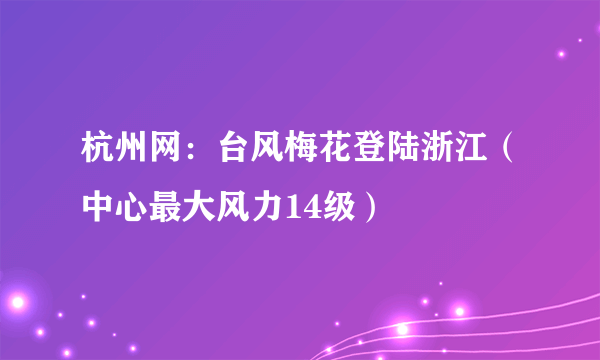 杭州网：台风梅花登陆浙江（中心最大风力14级）