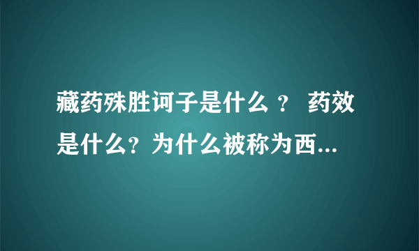 藏药殊胜诃子是什么 ？ 药效是什么？为什么被称为西藏最珍贵的药？