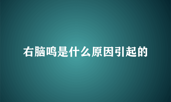 右脑鸣是什么原因引起的