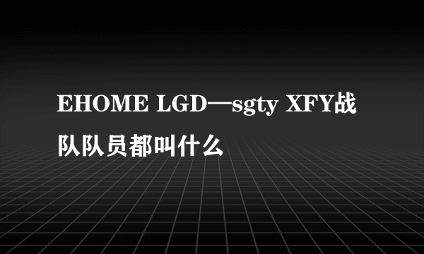 EHOME LGD—sgty XFY战队队员都叫什么