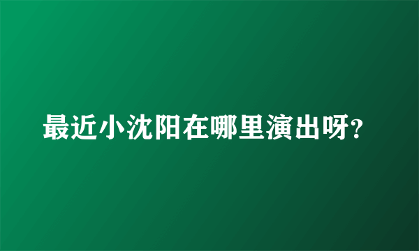 最近小沈阳在哪里演出呀？