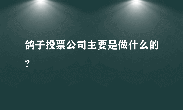 鸽子投票公司主要是做什么的？