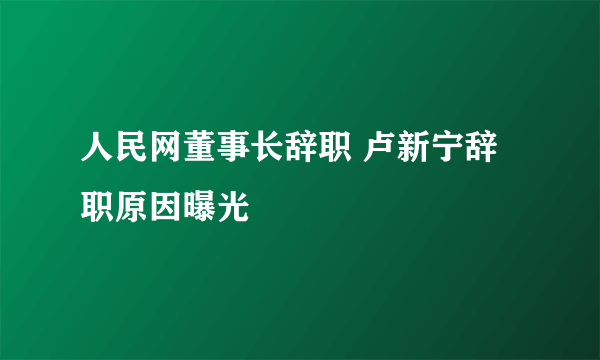 人民网董事长辞职 卢新宁辞职原因曝光