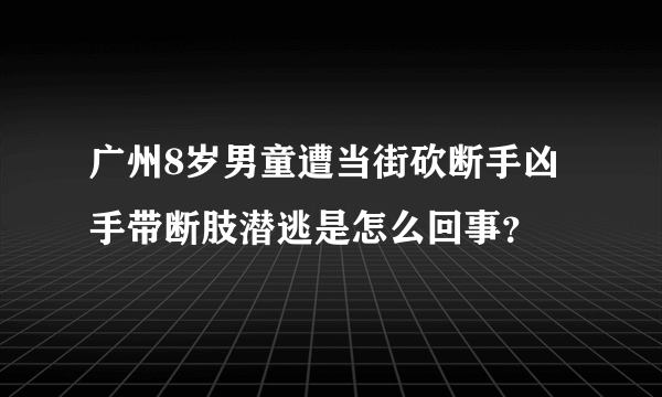 广州8岁男童遭当街砍断手凶手带断肢潜逃是怎么回事？